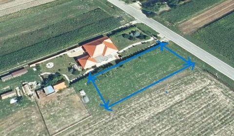 ☎️ 0918197701    NOVÁ CENA    -Predám stavebný pozemok v obci Kráľov B