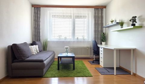 PREDAJ-svetlý 1izb byt, rekonštrukcia, samostatná kuchyňa, Ipeľská, BA