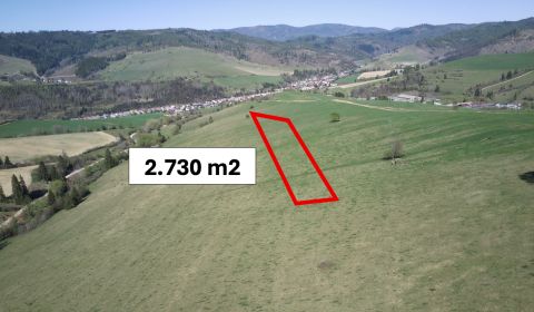 Čierny Balog – 2.730 INVESTIČNÝ pozemok v podiele 1/1