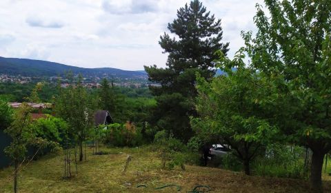 PREDAJ - Záhrada v Stupave