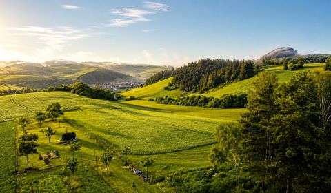 Predaj ! INVESTIČNÝ POZEMOK 7 255 m² – ZÁBORIE pri Martine 