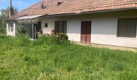 Vidiecky dom 2880m2 Nové Zámky - Veľká Maňa