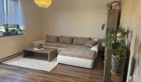 Ponúkame na predaj 4 izbový byt obci Dolné Janíky - exkluzívne