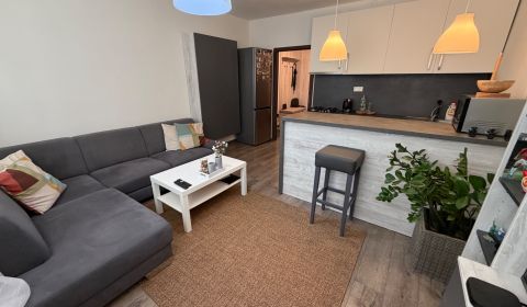 Veľkometrážny 1 izbový byt 47 m2 Topoľčany 