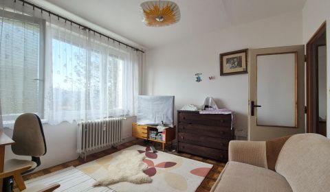 PRIESTRANNÝ 3,5 IZBOVÝ BYT, ZLATÝ POTOK, ZVOLEN,84M2