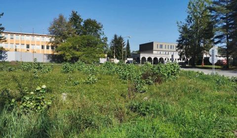 Na predaj pozemok 2 677m2 - Banská Bystrica, Senica P568ZL