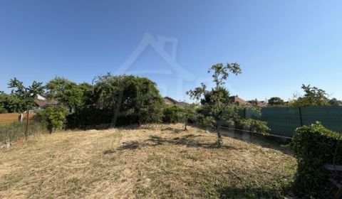 Pozemok vo vyhľadávanej časti Šurian – časť Argentína