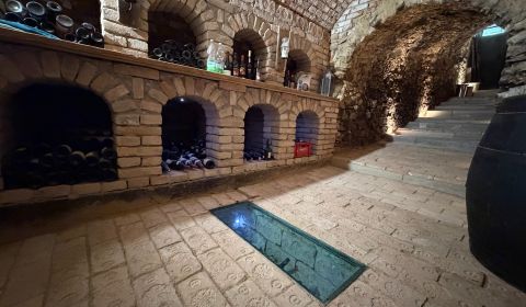 Exkluzívna historická vínna pivnica v obci Edelstal