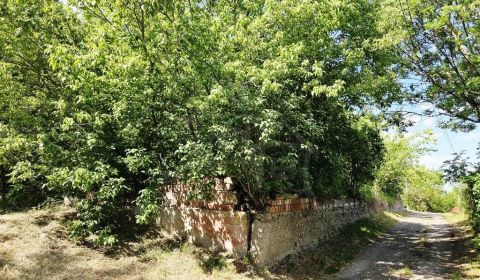 482 m2 pre nový dom v obci Pastovce, okres Levice