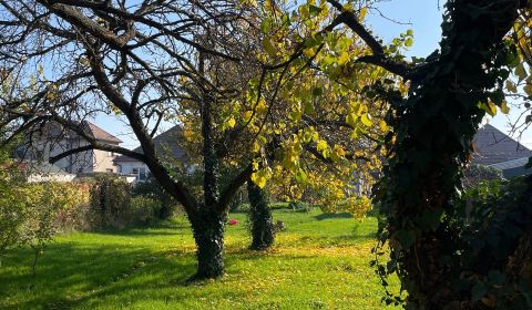 - Pozemok 1104m2 s rodinným domom, Okružná ulica