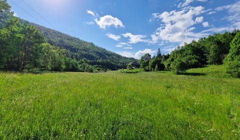 Ranč, farma alebo chalupa? Rodinný dom s 12 622 m² pozemkom pri lese