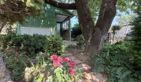 Záhrada s chatkou pri Váhu v Šali – Veči | 377 m²
