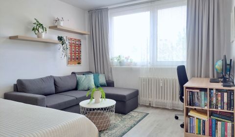 1 izbový zariadený, s pivnicou, tichá lokalita, Žarnovická - Rača 