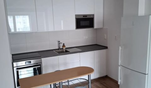 Veľký 1 izb. byt v NOVOSTAVBE Budatínska ulica, Bratislava V Petržalka