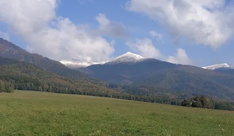 TURANY -  pozemok ,Trusalová 3930 m2,okr. Martin  