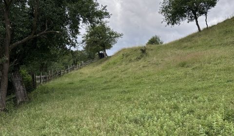 Pozemok na predaj – Horný Vadičov, 1071m2