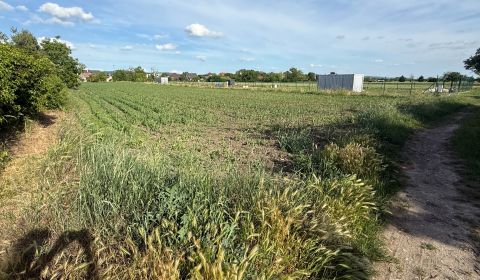 INVESTÍCIA S POTENCIÁLOM | POZEMOK 4 644 m² | KOCURICE – PIEŠŤANY
