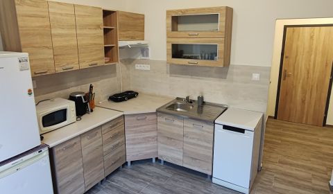 Pekný 1 izbový byt s balkónom na prenájom
