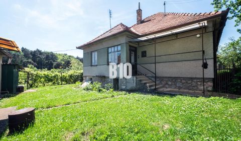 Rodinný dom s veľkým pozemkom v obľúbenej obci Kolíňany