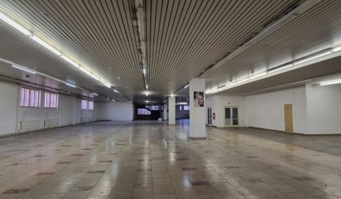 Obchodné priestory na prenájom