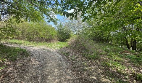 Rekreačný pozemok 1 701 m² v atraktívnej lokalite Častá – Píla
