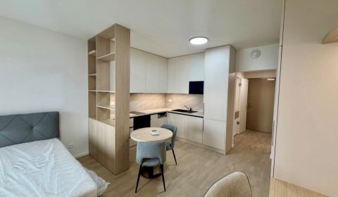 Prenájom novostavba 1 izb byt, Bottova ulica, Bratislava I Staré Mesto