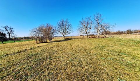 Ponúkam na predaj záhradu v Lúčnici nad Žitavou, 1000m2, 5km Vráble, 
