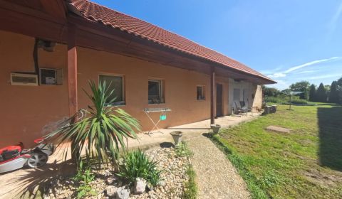 Na predaj rodinný dom s veľkým pozemkom v centre obce Nové Sady