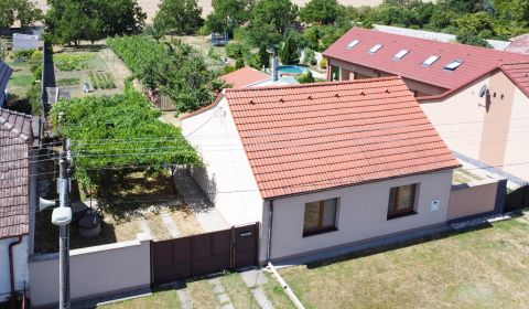 PREDAJ - Rodinný dom, Slovenská Nová Ves, celková rozloha 1581 m²