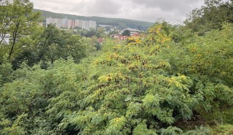 Predaj pozemku Staré grunty - bytová a rodinná výstavba