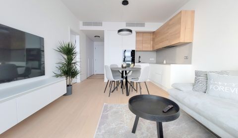 JEDINEČNÝ 2i byt ( 21,p.),KLÍMA,LOGGIA,PARKING,SKY PARK,Továrenská ul.