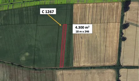 Fiľakovské Kováče – 4.300 m2 ORNÁ PÔDA 1/1