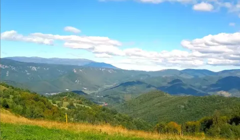Filier – 9.746 m2 LESNÉ POZEMKY v pozemkových úpravách
