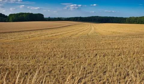 Horný Tisovník – 3.056 m2 - POĽNOHOSPODÁRSKE pozemky