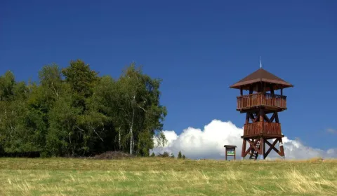Polina – 2.384 m2 LESY a ORNÁ PÔDA– Na Predaj