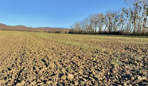 Zbudza - 8.656 m2 ORNÁ PÔDA podiel 1/1 – Predaj