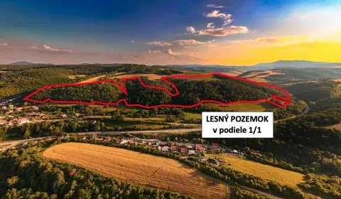 Rokycany – 250.000 m2 LESNÝ REKREAČNÝ POZEMOK v 1/1 pri PO