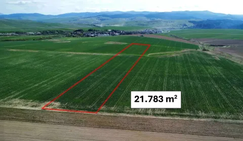Podhorany – 21.783 m2 ORNÁ PÔDA v podiele 1/1 – Predaj
