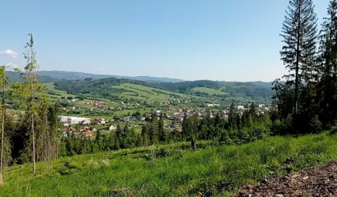 Raková - Spoluvlastnícky podiel na lese