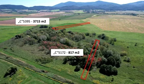 Plavecký Peter – 4.500 m2 ORNÁ PÔDA v podiele 1/1 