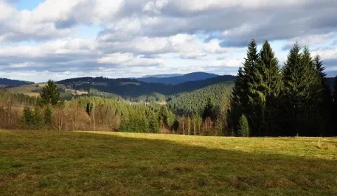 Turzovka - Spoluvlastnícky podiel na lesoch a lúkach
