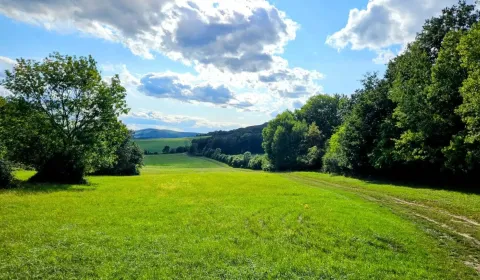 Veľké Raškovce – 3.799 m2 POĽNOHOSPODÁRKA PÔDA a LESY