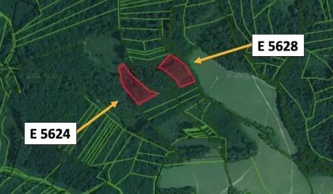 Považská Bystrica – 1.270 m2 LES 