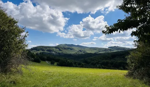 Zbudská Belá, Radvaň nad Laborcom  20.004 m2 LESY a PÔDA