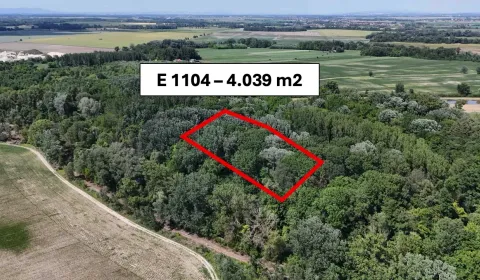 Orechová Potôň  2.918 m2 Lesný a Poľnohospodársky pozemok