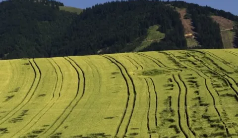 Šuja – 395 m2 POĽNOHOSPODÁRSKE  pozemky – Predaj