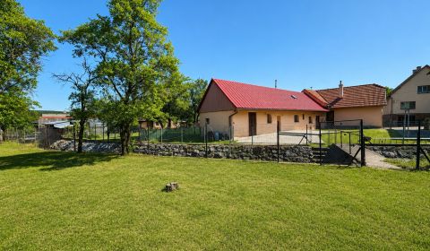 Na predaj dva rodinné domy a sad na pozemku 1 299 m², Selec