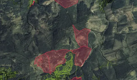 Nová Bystrica - Spoluvlastnícke podiely na lesoch a lúkach