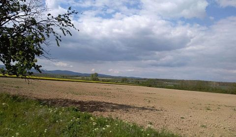 Hľadáme na kúpu pozemok pre liečebňu v Bratislavskom kraji