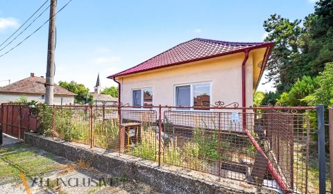 Na prenájom 5-izb. rod. dom s garážou, Vydrany